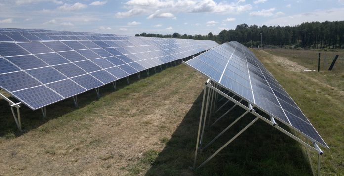 Industria cárnica será la primera en tener planta solar en el país